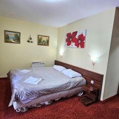 The Castle Mansarde on the slope 7 - Pamporovo