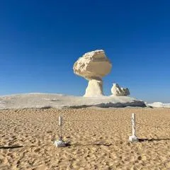 White Desert Safari With Camping