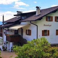 Oberortsgut