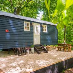 Pansy-Shepherds Hut, Henley on Thames
