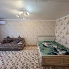 Apartment on Akhmetova 10