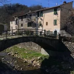 L'Autedo