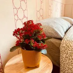 La Caravella apartament