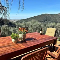 Villa in Tuscany with Pool and Olive Grove