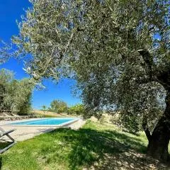 Room in Holiday house - Historic house with swimming pool, barbecue, gym in Senigallia - The Girasole