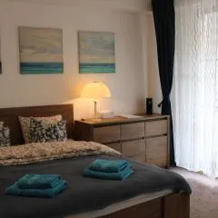 Jáchymov Blue Apartment