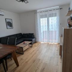 Apartment NIKI