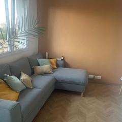 Quiet modern apartment & near city center