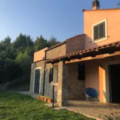 Relax tra gli Ulivi