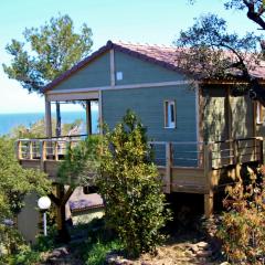 Camping Les Amandiers