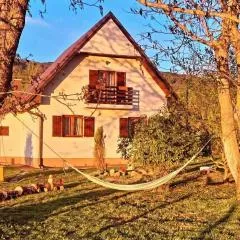 Holiday house with a parking space Josani, Plitvice - 23707