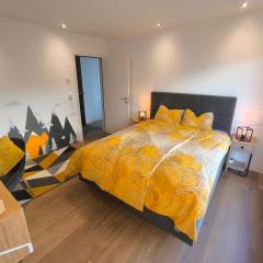 Studio en Gruyère - Grande terrasse privée 50m2 et Jaccuzi optionnel