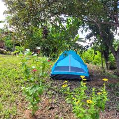 Nosso Quintal Candeias - Camping