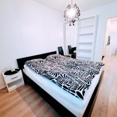 Spacious Northern City Apartment