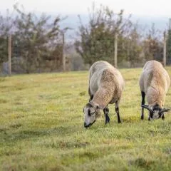 Tente à la Ferme