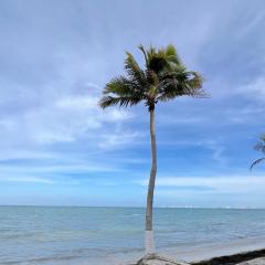 Condominiums By The Sea