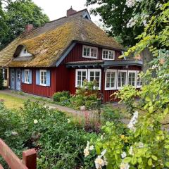 Ellas Kate Schwalbennest