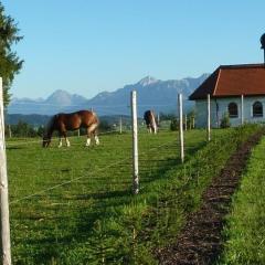 Mountains Castles Lakes Comfortable holiday residence