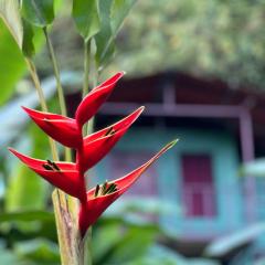 Río Verde Ecolodge