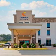 Comfort Inn & Suites East Ellijay