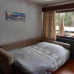 SKI AUX PIEDS et PIEDS DANS L'EAU