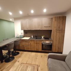 Appart avec Jardin & Vue Montagne - Proche Ski Briançon Serre Che