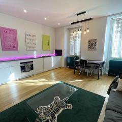 Grand studio design au coeur de Nice