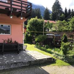 Apartament Floare de Colț