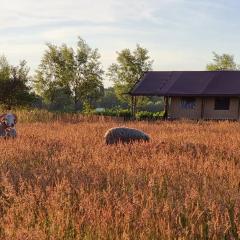 Luxury Safari Tent near Veluwe