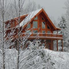 Ridge View Lodge - Nature and Mountain View - Hot tub - Firepit - Yard - Games