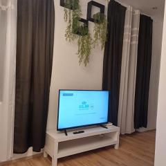 Apartment vis á vis Schönbrunn with private parking