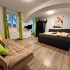 Brilliant Souterrain Apt. - Prater Amuesement Park