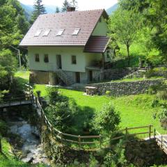 House Dolenja Trebuša