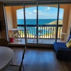 Appartement vue mer Port Vendres Collioure direct crique wifi
