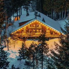 Large peaceful chalet for mountain adventures! Perfect for Flégère and Grand Montet skiing