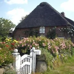 Apartment Seestern