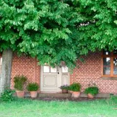 Apfelhof Fehmarn