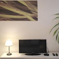 4 bedrooms 4 bathrooms luxury in Budapest centre