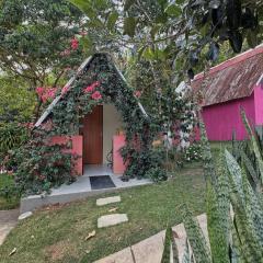 Chalé das hortênsias