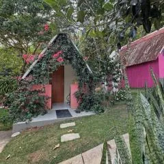 Chalé das hortênsias