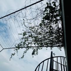 Transit stay seeduwa