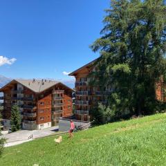 Wohnung CHOTTES NEND230 Ski in and Ski out