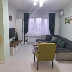 Apartman Nikola Vukosavljevic