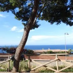 Ariel Sirenetta mare