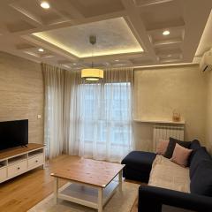 Central Garden grand luxurious apt