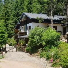 Alm`Ferienhaus Gaisegg