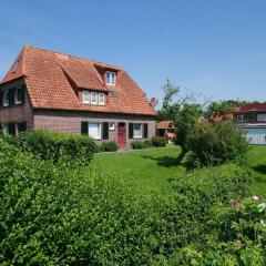 Apart Zwergmöwe