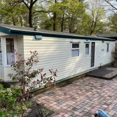 Vintage Forest Chalet