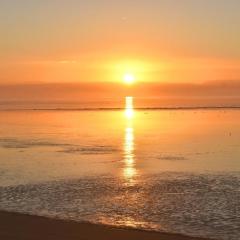 Ferienwohnung Zwergpinscher