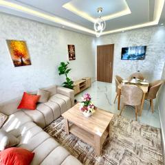 Appartement Lumineux et élégant